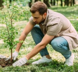 Designing for Resilience and Sustainability