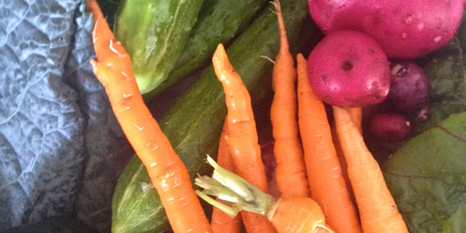 Eat a More Plant-Based Diet