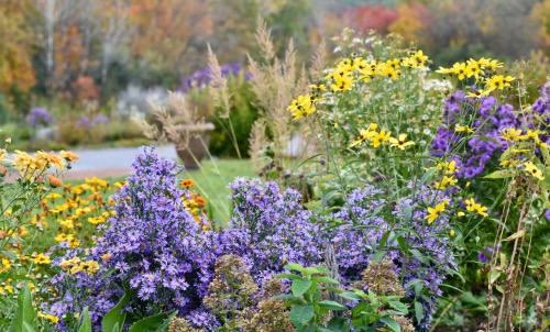 Ecological Landscaping and tree planting